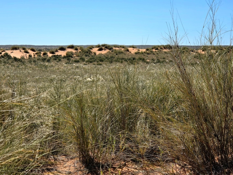 Commercial Property for Sale in Upington Rural Northern Cape